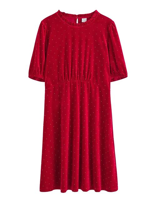 Lindex | Dress Velvet With Gold Dots | 146/152