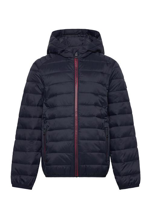 Jack & Jones | Jjebradley Light Puffer Hood Mni | 116