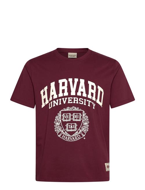 Jack & Jones | Jorharvard Tee Ss C.n Styd Ss25 | L