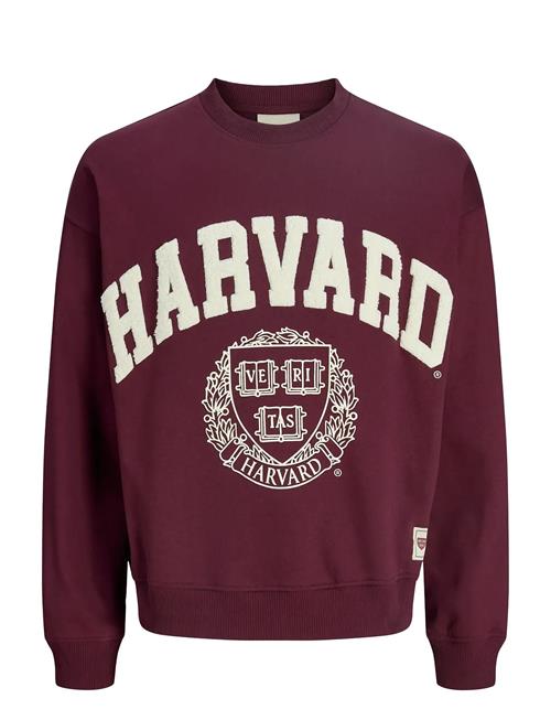 Jack & Jones | Jorharvard Sweat C.n Styd Ss25 | S