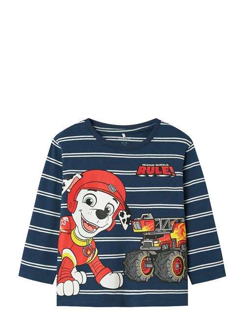 name it | Nmmsofus Paw Ls Nreg Top Box Cplg | 92