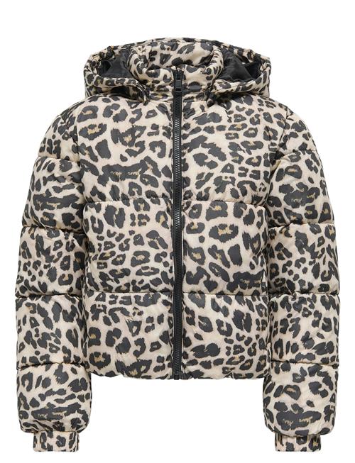 Kids Only | Kogdalia Sht Puffer Aop Jacket Otw Noos | 152