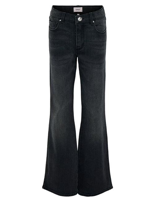 Kids Only | Kogblair Life Reg Flared Pim | 164