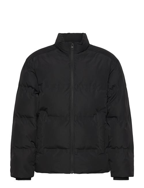 Jack & Jones | Jjesoho Puffer Collar Jnr | 152