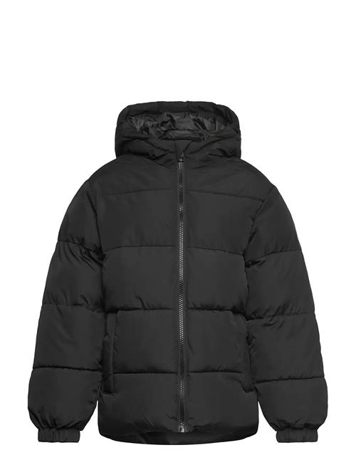 Jack & Jones | Jjmaze Puffer Hood Jnr | 152