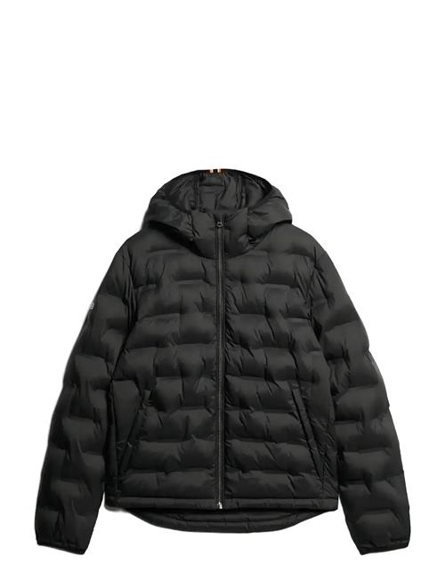 Superdry | Hooded Quilted Puffer Coat | XL