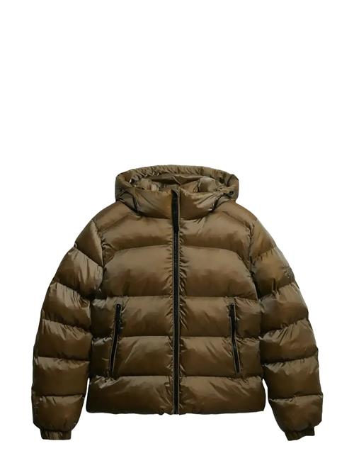 Superdry | Hooded Luxe Sports Puffer | XS