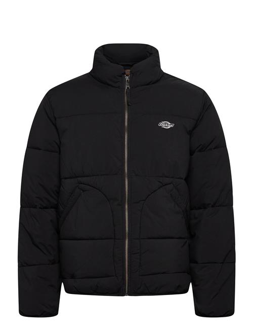 Dickies | M Summerdale Puffer | XL