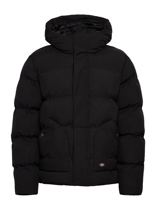 Dickies | Eagleville Hooded Puffer | L