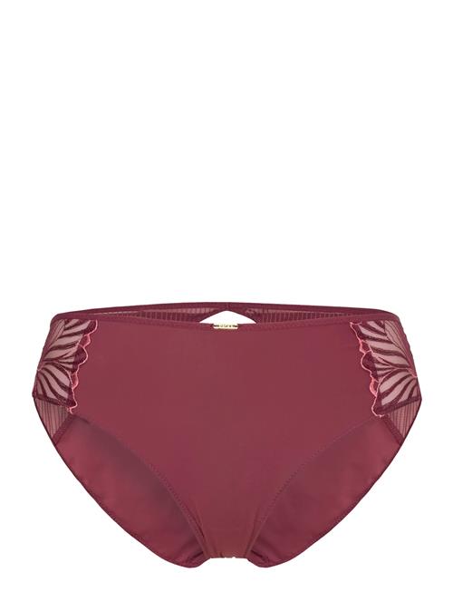 CHANTELLE | Legend Full Brief | 36