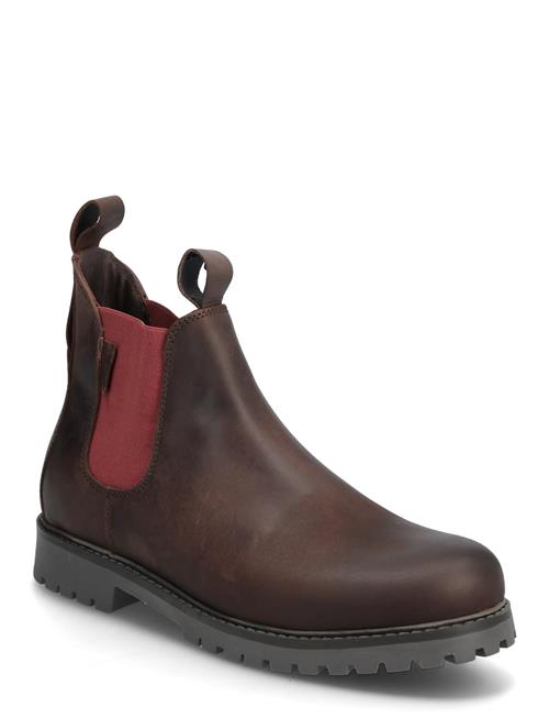 Marstrand | Frans Marstrand | 42