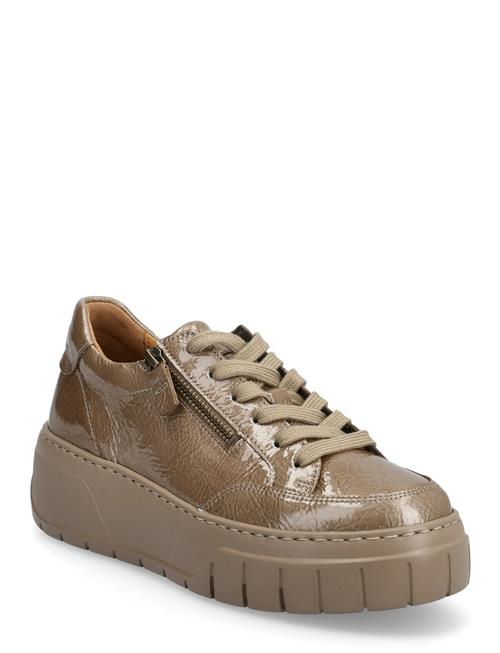 Gabor | Sneaker | 36