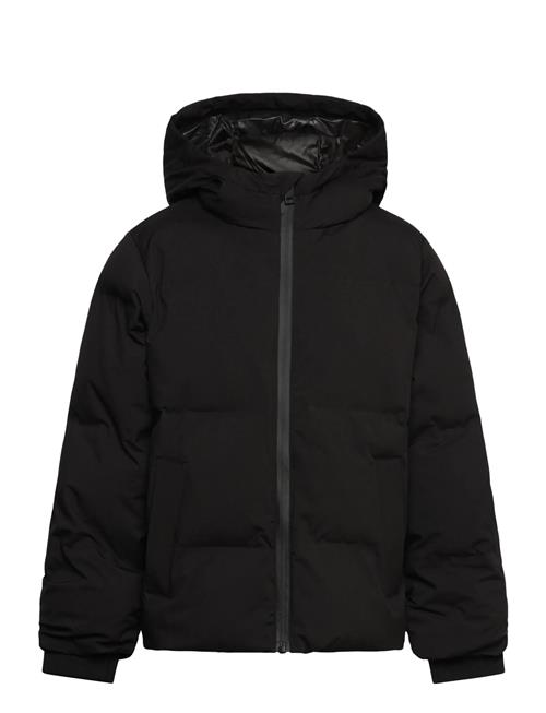 Jack & Jones | Jjkaito Puffer Jacket Mni | 110