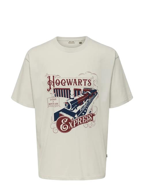 ONLY & SONS | Onsxmas Rlx Ss Tee Hp | L