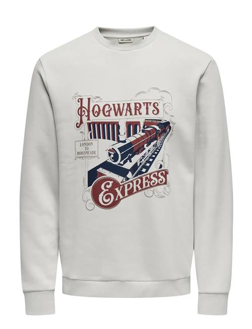 ONLY & SONS | Onsxmas Reg Crew Hp | L