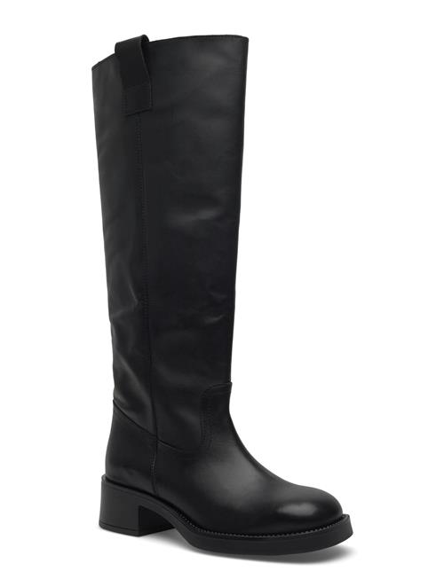Steve Madden | Banner | 36