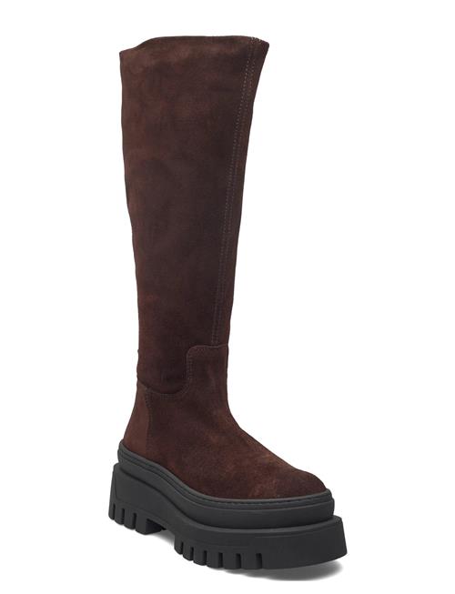 Steve Madden | Chipp | 36