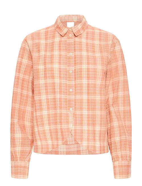 ICHI | Ihcira Sh | 40