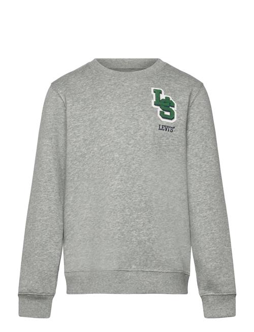 Levi's | Levi's® Monogram Crewneck | 104