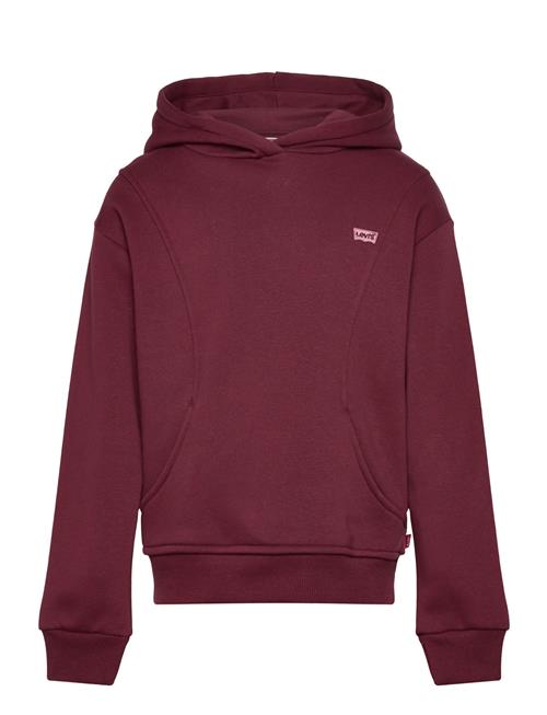 Levi's | Levi's® Batwing Patch Thumbhole Pullover Hoodie | 110