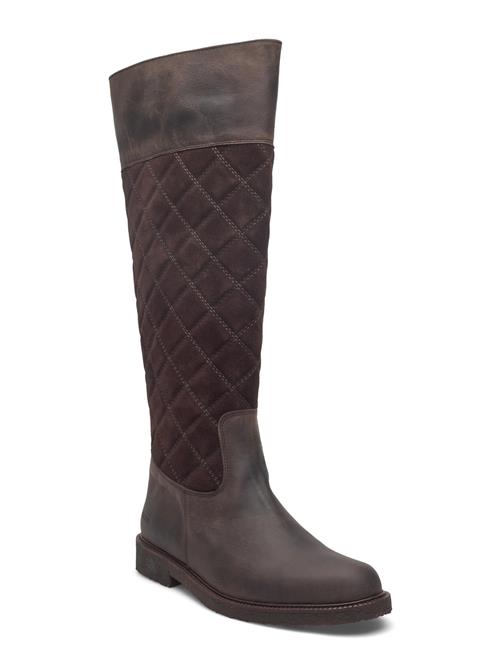 ANGULUS | Booties - Flat | 40