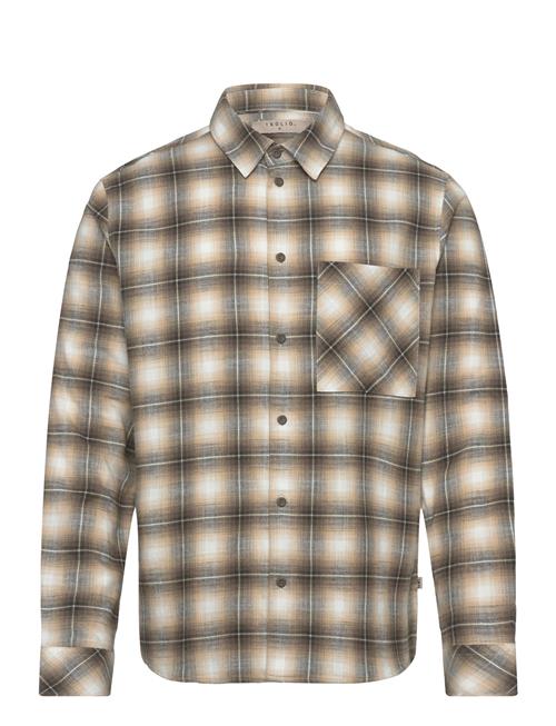 Solid | Sdtavish | L