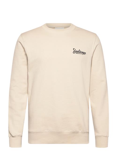 Solid | Sdtorrence | L