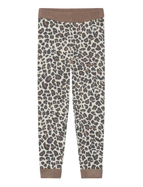 Fliink | Benna Leo Leggin | 12 M