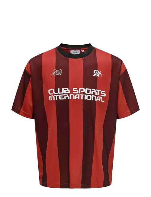 ONLY & SONS | Onsdeclan Loose Ss Tee | XS