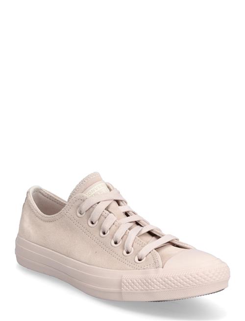 Converse | Chuck Taylor All Star | 36