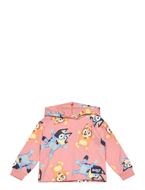 Bluey | Sweats | 110