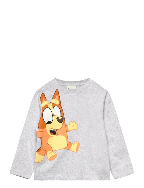 Bluey | Tshirt | 104