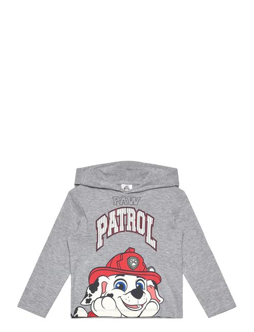 Paw Patrol | Tshirt | 104