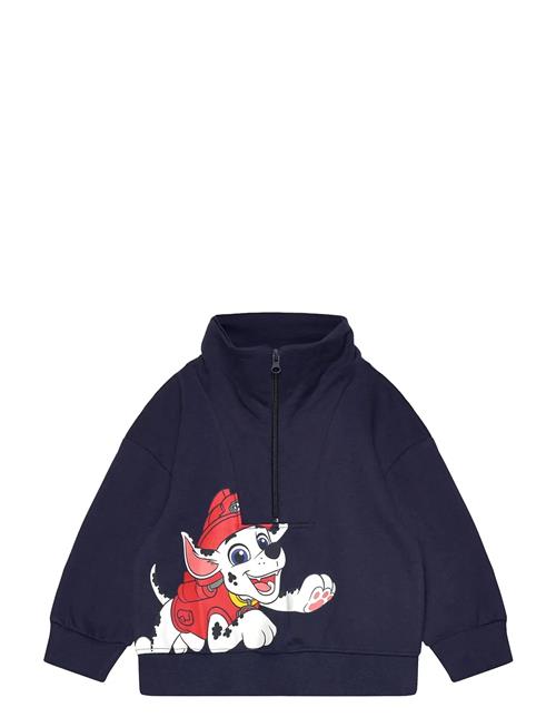 Paw Patrol | Sweats | 98