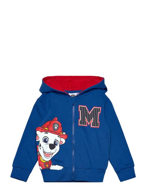 Paw Patrol | Sweats | 116