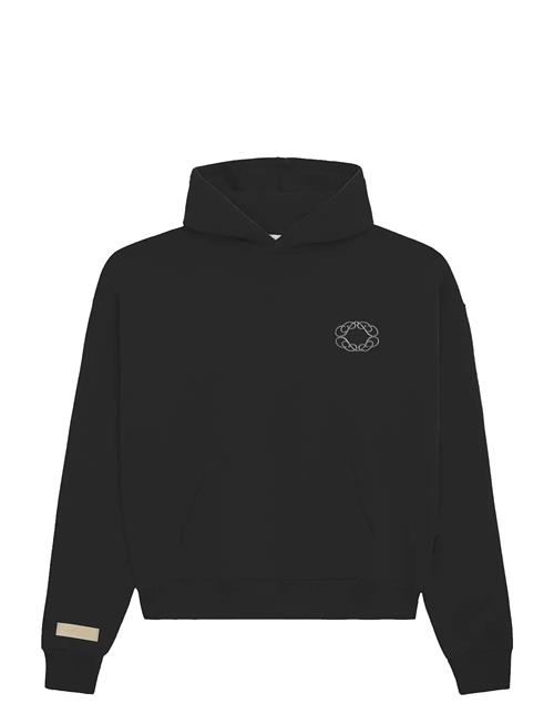 Prohibited | Legacy Hoodie | M