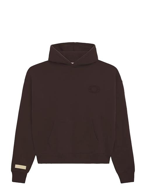 Prohibited | Legacy Hoodie | XL