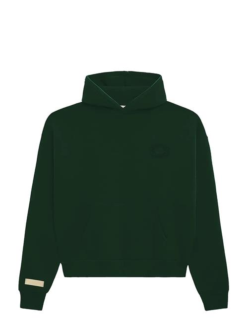 Prohibited | Legacy Hoodie | XXL