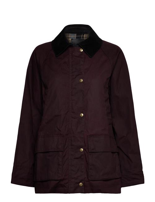 Mango | Cotton Parka With Corduroy Collar | S