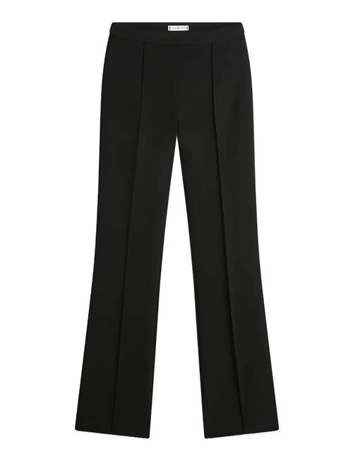 Tommy Hilfiger | Punto Kick Flare Pant | 36