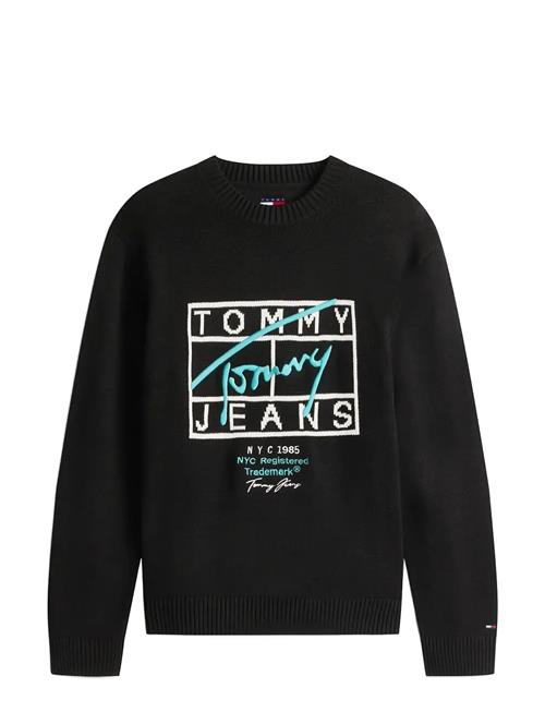 Tommy Jeans | Tjm Reg Signature Sweater Ext | XL