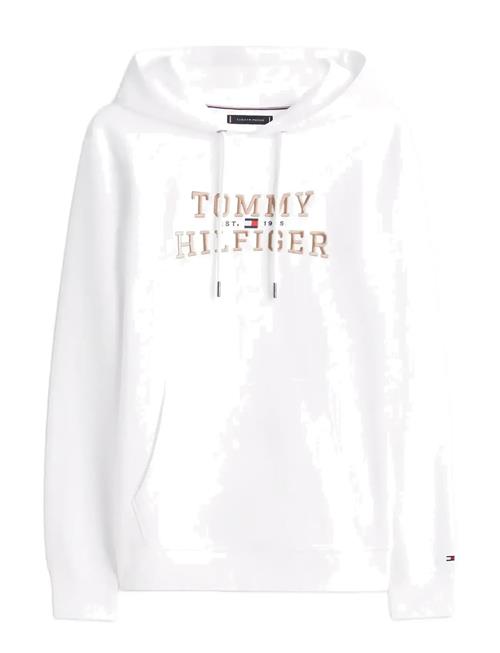Tommy Hilfiger | Icon Intechno Hoody | L
