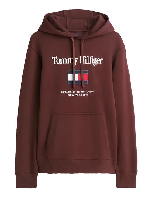Tommy Hilfiger | Hilfiger Embro Flag Hoodie | XS