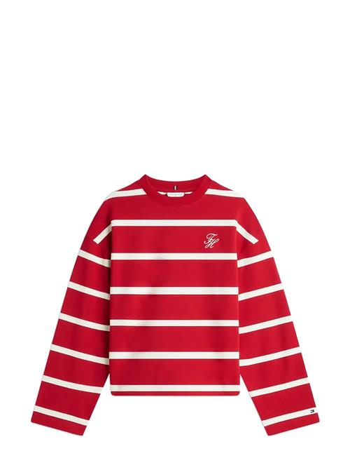 Tommy Hilfiger | Th Script Mdrn Terry Swtshrt | L