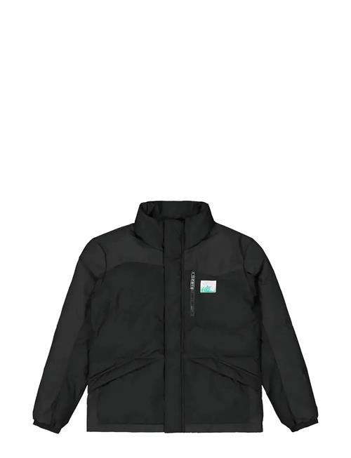 PICTURE ORGANIC CLOTHING | Zonk Jkt | XS