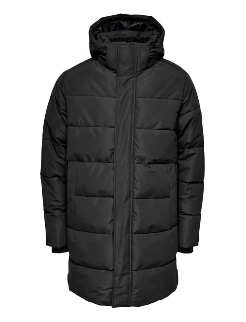 ONLY & SONS | Osjcarl Life Long Quilted Coat Otw | 170
