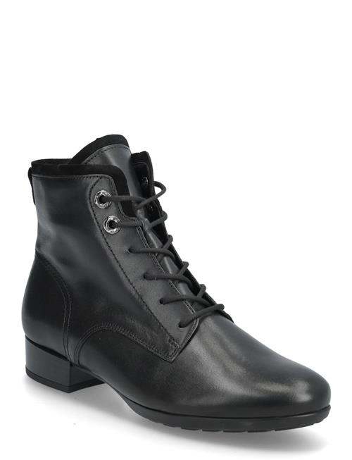 Gabor | Laced Ankle Boot | 37