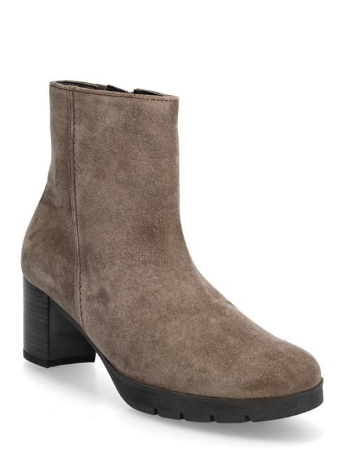 Gabor | Ankle Boot | 41