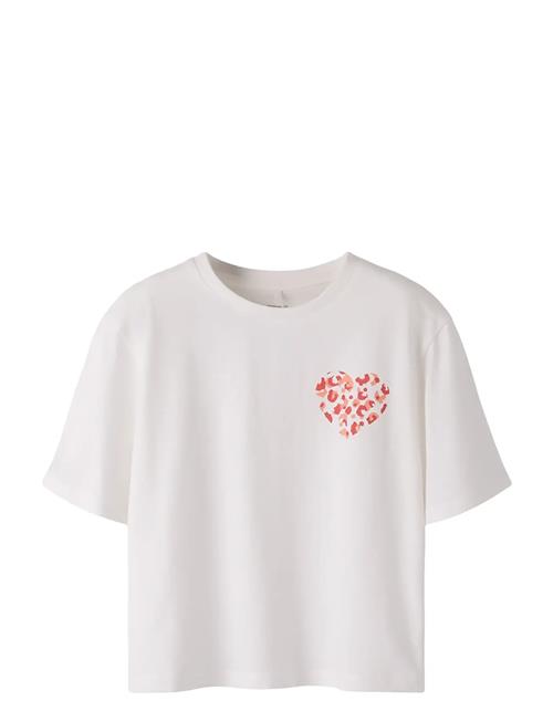 name it | Nkfbeatrice Ss Nreg Sh Top Box Ps Noos | 116