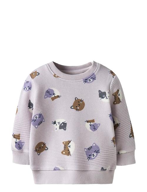 name it | Nbftammie Ls O-Neck | 62